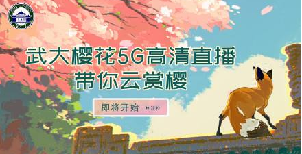 武大櫻花5G直播 武漢大學櫻花首次5G直播  一睹中華名校三月芳華（圖）