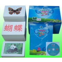 杜曼中文百科卡1000圖-杜曼閃卡-杜曼右腦開發閃卡