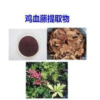 雞血藤提取物10:1雞血藤提取物 產(chǎn)地貨源