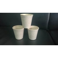 玉米秸稈生態(tài)全降解餐具及包裝制品生產(chǎn)流水線