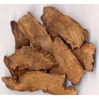 松果菊苷20% 肉蓯蓉提取物  松果菊甙 多規格供應