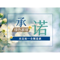 上門除甲醛專業(yè)公司 綠色家緣 室內甲醛治理正規(guī)服務