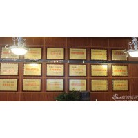 西藏企業辦理中國科技創新優秀企業