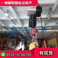 500kg智能環鏈電動葫蘆,電動環鏈葫蘆哪家好？