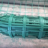 貴陽爬山虎安全掛網種植會攀爬的植物用鋼塑攀爬網