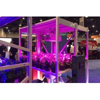 2019年美國拉斯維加斯大麻展-全球知名大麻展