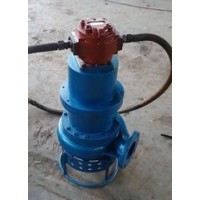 小型液壓泥沙泵，砂漿泵，污泥泵廠家直銷