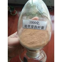 廠家供應枯草芽孢桿菌農業水產畜牧用200億-1000億