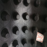 綠化工程用凹凸型塑料排水板 3公分高聚乙烯排水板廠家