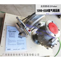 Fisher不銹鋼氧氣減壓閥，氧氣閥脫脂脫硫處理