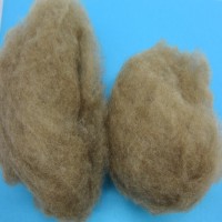 現(xiàn)貨供應(yīng)駝絨原料 駝絨絮片等免費(fèi)拿樣品