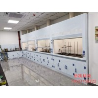 PP通風(fēng)廚耐酸堿耐腐蝕實(shí)驗(yàn)室通風(fēng)柜