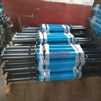 DW28-300/100單體液壓支柱