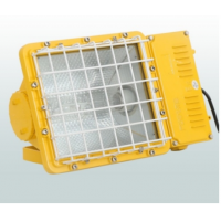 防爆泛光燈-GBT5112