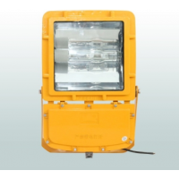 防爆泛光燈-CBF5011