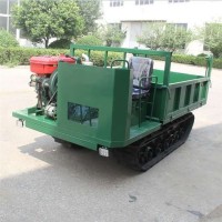 源頭直售履帶車多功能履帶式拖拉機2T座駕履帶車