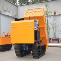 優惠促銷全新履帶車全地形運輸拖拉機3T座駕履帶車