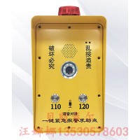 一鍵式報警系統 110一鍵聯網報警系統