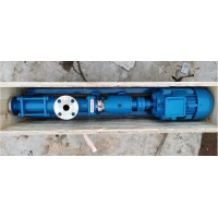 出售油泥泵和泵轉子HDN035S2