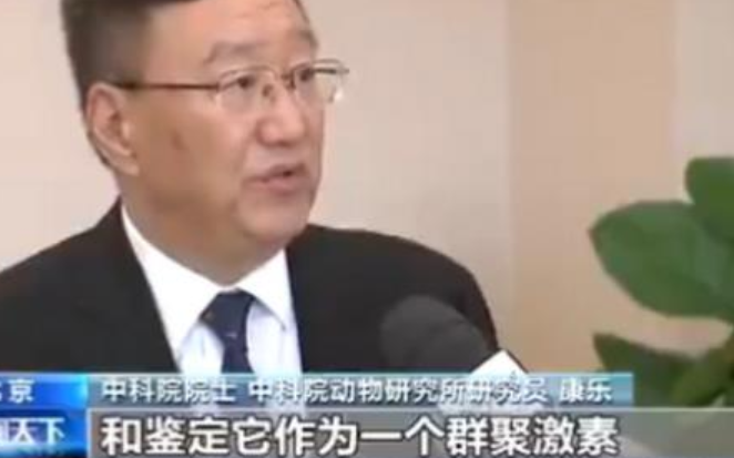 中科院團(tuán)隊(duì)成功揭秘蝗災(zāi)罪魁禍?zhǔn)?/></a>
<p><a href=