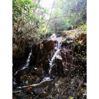 長沙周邊親子游,一日游野炊燒烤好吃好玩好去處!