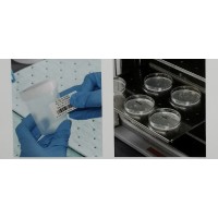 貝迪潔凈室低溢氣標(biāo)簽