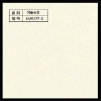 只發工地 佳吉瓷瓦 德宇瓷瓦 家運旺瓷瓦 帕麗絲瓷