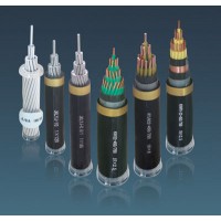 任丘金長城電線電纜供應(yīng)