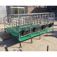 加厚母豬定位欄豬用限位欄母豬圍欄豬欄設(shè)備豬床定位欄