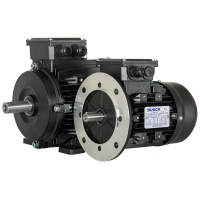 熱門銷售瑞典BUSCK電機