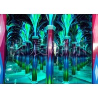 紫晨游樂(lè)  星空藝術(shù)館1