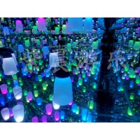 紫晨游樂(lè)    星空藝術(shù)館的源頭生產(chǎn)廠家