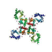 鈉離子通道|藥物篩選|激酶譜|GPCR