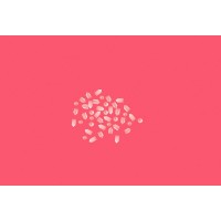 重慶兆宏科技有限公司寶石軸尖