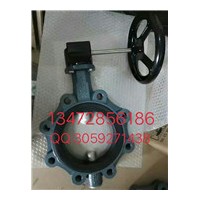 德國(guó)EBRO依博羅渦輪蝶閥 Z014-A正品直銷假一罰百