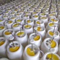 腳踏式壓力桶 農(nóng)村旱廁改造沖廁桶 蓄水桶35升