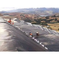 現貨供應沼氣池黑膜豬場氧化塘污水池建設防滲土工膜